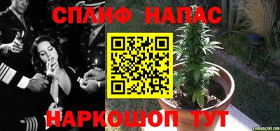 стафф Бузулук