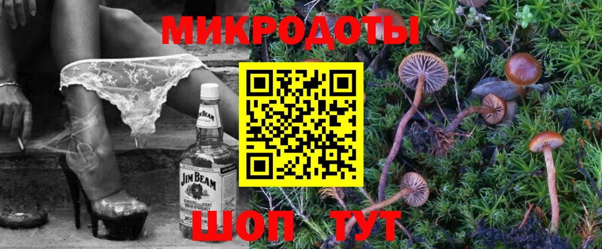 Галлюциногенные грибы прущие грибы Курчатов