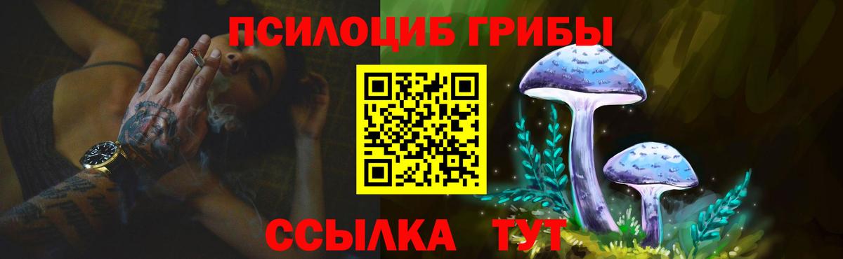 Курчатов  Галлюциногенные грибы Magic Shrooms  Псилоцибиновые грибы прущие грибы  Вход с VPN 